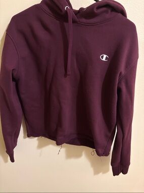 Champion Plum Crewneck Hoodie with Small Logo crop